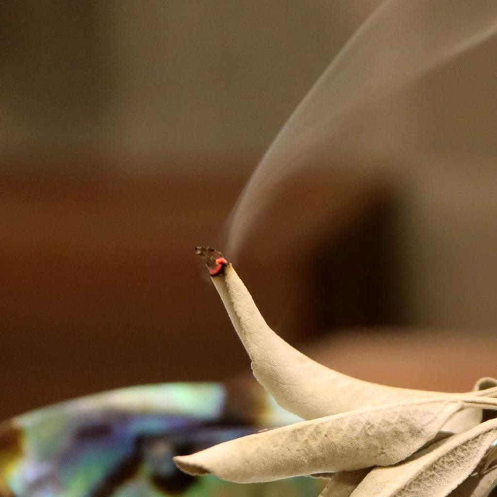 white sage crushed unselected 30g organic california aroma leaf