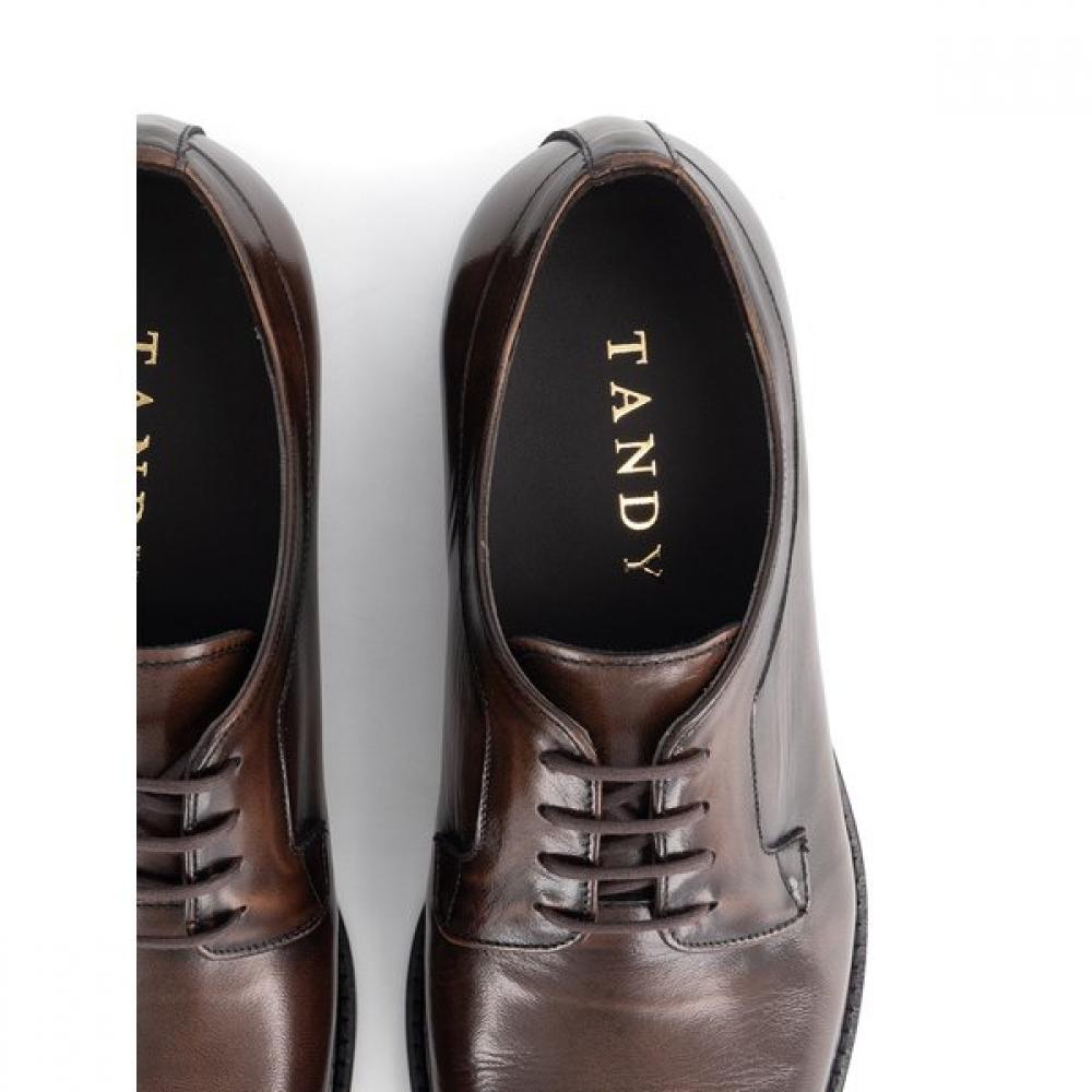Tandy Men S Derby ShoeS Suit C 1407