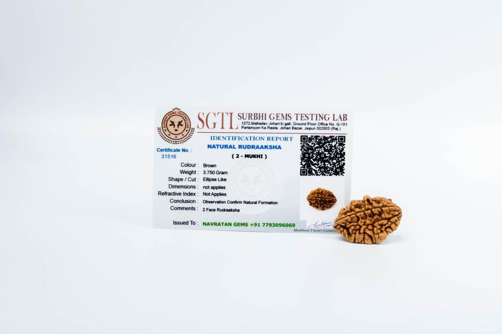 2 бусины Mukhi Nepali Rudraksha | Сертифицированная подлинная рудракша для духовного роста | Подлинная священная бусина для медитации и исцеления от Navratan Gems