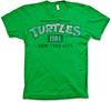 New 1984 Teenage Mutant Ninja Turtles Turtles NY T-Shirt Green-