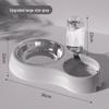 Automatic Cat Water Feeder & Dual Bowl Dispenser