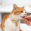 Регулируемый ошейник для кошки Мягкий ошейник для питомца со съемным колокольчиком Однотонный ошейник для маленьких собак, кошек, котят для прогулок на улице