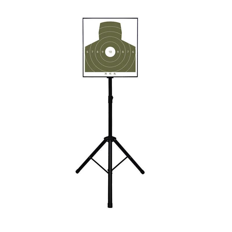 Laser Simulation Target Practice System
