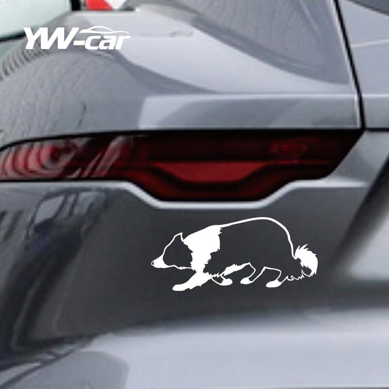 Представляет Decals Boutique: Наклейка с изображением породы Бордер-колли - Обязательный внешний аксессуар для любителей собак