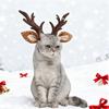 Yousheng Pets Рождественский ободок с рогами, регулируемый ободок для волос с оленьими ушами, олений косплей-ободок для собак, кошек, праздничный костюм, рождественский подарок