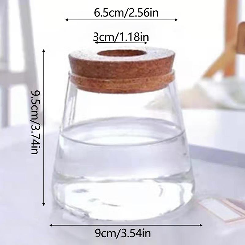 Круглая стеклянная бутылка гидропонного контейнера вазы для цветов с деревянной пробкой
