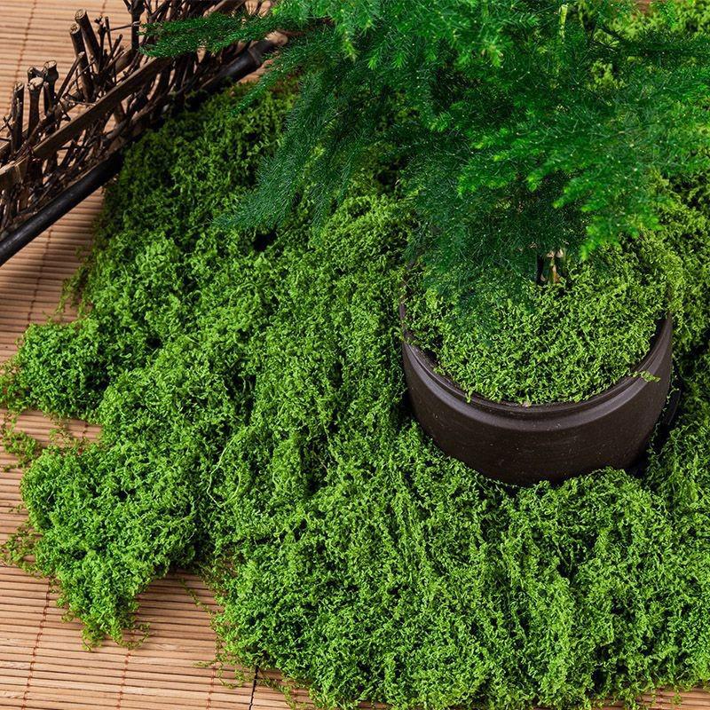 50 г искусственный мох DIY поделки трава искусственный мох искусственный консервированный мох зеленые растения для дома комната сад декор мини ландшафт искусственная трава