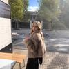 Popular Imitation Fox Fur Jacket Women'S Lapel Temperament Versatile Furry Top