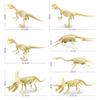 Fossil Dinosaur Skeleton Model With Plastic Material For Kids Decor Educational