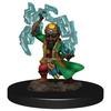 Pathfinder Battles Premium Painted Fig (Sorcerer M)