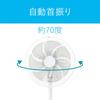 Koizumi Electric AC Mechanical 3 Levels of Air with Off White Fan, Motor, Type, Flow, Oscillating, Timer, KLF-3015/W