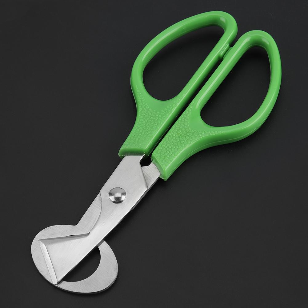 Портативный антикоррозийный ножницы для перепелиных яиц, открывалка, кухонный инструмент, машинка для стрижки яиц