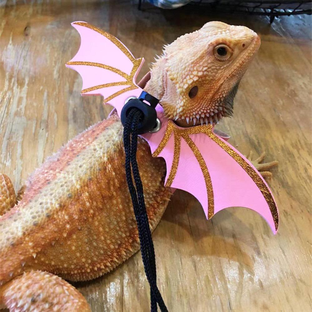 With Bat Wings Colorful Leather Gecko Chest Strap Lizard Traction Rope Reptile Leash Lizard Harness