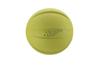 Richell Dog Toy Nerf Dog Squeak Ball 3.8i