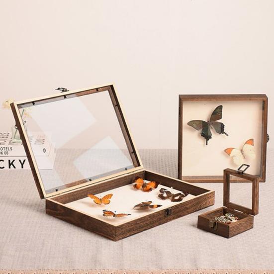 Витрина с высокой видимостью. Большой теневой ящик для насекомых. Деревянная конструкция. Несколько размеров. Витрина для хранения образцов насекомых с гладкими краями.