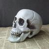 Halloween Artificial Skull Head Model Skull Bone Scary Horror Skeleton Ornament