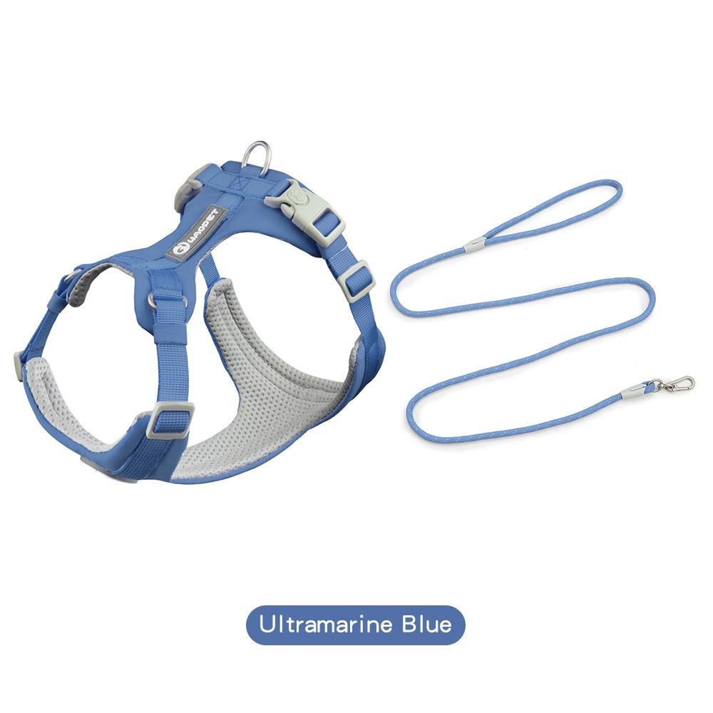 Шлейки для собак, набор с поводками, подарки для домашних животных, собак, кошек, жилет для маленьких, средних и больших собак, набор веревок для дрессировки на открытом воздухе, товары для домашних животных