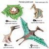 Модели жизненного цикла мини-животных: Бабочка, Петух, Муравей, Лягушка, Морская Черепаха и Улитка - Детский Образовательный Набор Игрушек