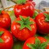 Lifelike Simulation Tomato Cute Fake Vegetables  Fruit Prop Teaching