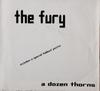7-дюймовая пластинка FURY - Дюжина шипов NIR001 Network Interna 1990 США Рок Б/У