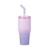 CB Japan ANIE Tumbler with Straw and Pink and Vacuum Stainless SANTECO 2-Way 670, 670ml, Lid, Purple, Insulated, Steel, Double-walled Construction,