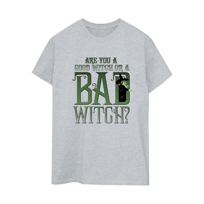 Wizard Of Oz Womens/Ladies Wicked Bad Witch Boyfriend T-Shirt