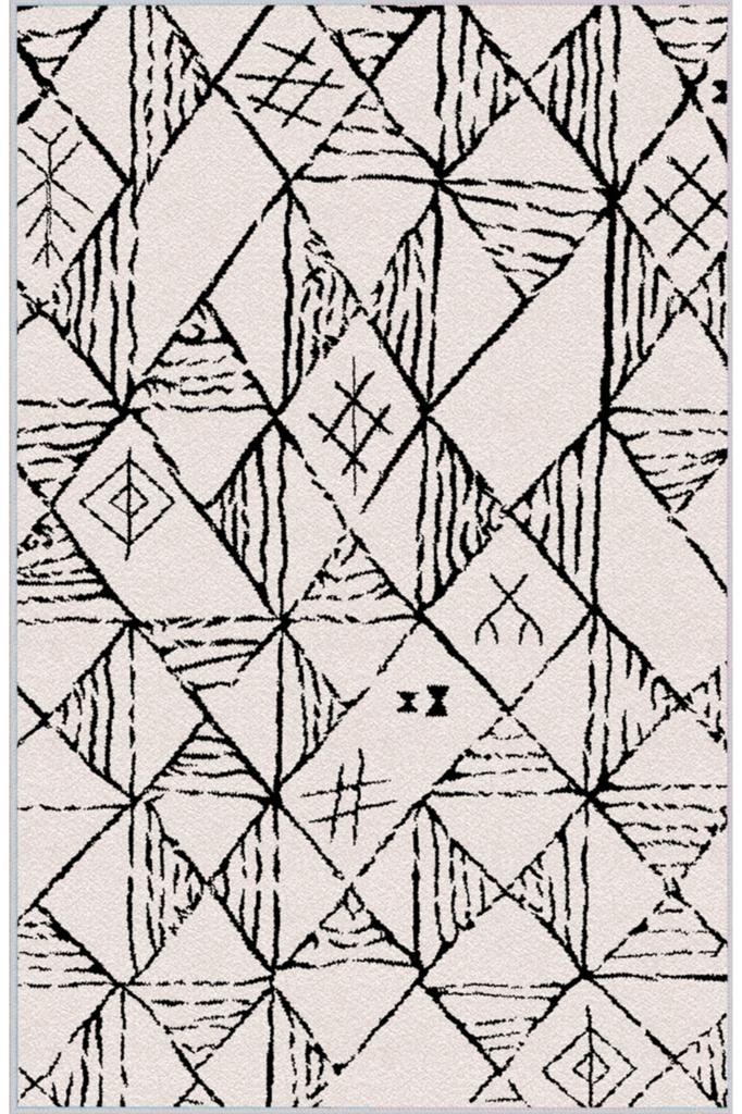 Eliana Home Washable Printed Carpet LNA1113