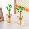 Мини-горшок для цветов с самополивом, аквариум, прозрачные пластиковые горшки для растений, самополивной горшок для растений, ваза для украшения дома