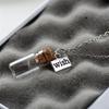 Enchanting Handcrafted Drift Bottle Necklace Unique Glass Dandelion Charm Fashionable Handmade Jewelry for Personalized Style