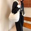 2025 New Korean Pleated Cloud Bag Women's Shoulder Messenger Bag Fashion Down Cotton Clothes Underarm Dumpling Bag