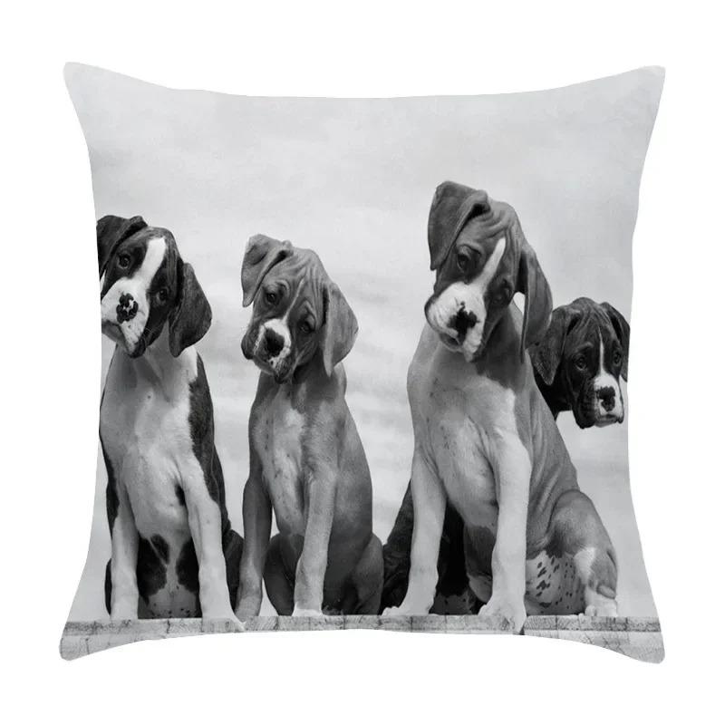 Милый питомец щенок черно-белое художественное фото офисная диванная подушка наволочка
