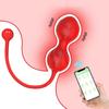APP Remote Control Vibrator Female Bluetooth G Spot Vibrators for Women Vagina Ball Wear Vibrating Panties Sex Toy for Adults 18