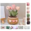 Tulip Flowerpot Flower/Sunflower Crochet Kit Crochet Starter Kit Handmade Crafts Lovers