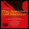 The Sorrows of Mexico by Elena Poniatowska Paperback Book 9780857056221