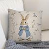 PC Vintage Peter Rabbit Decorative Pillow Cover Ideal for Easter Sofa Bed Living Room  Office
