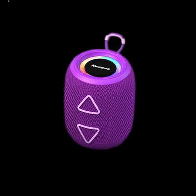 Портативная Bluetooth-колонка Newmine BT87, штекер CN (адаптер в комплекте)