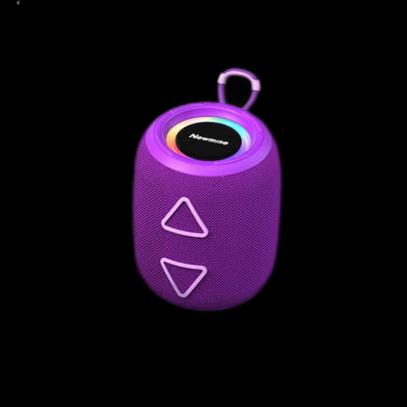 Newmine BT87 Portable Bluetooth Speaker CN plug (adapter included)