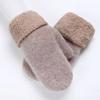 Wool Cashmere Plush Mittens Thicken Winter Hand Protection Solid color Full Finger Gloves  Driving