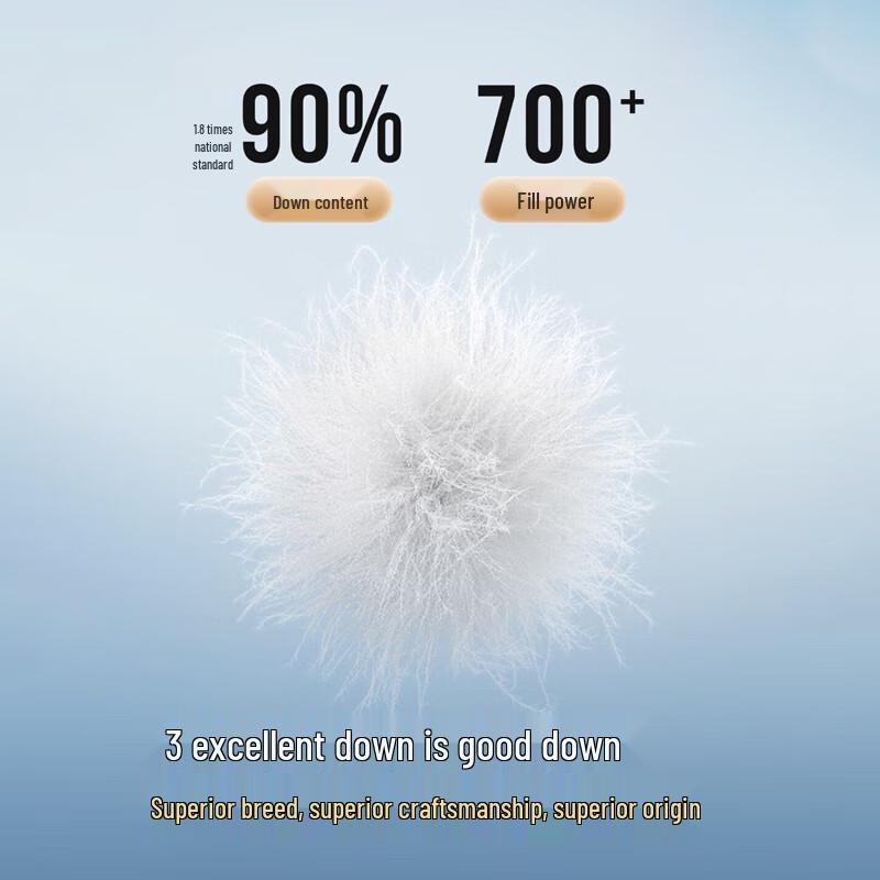 Bosideng B250131021 Men's Quilted Stand Collar Down Jacket