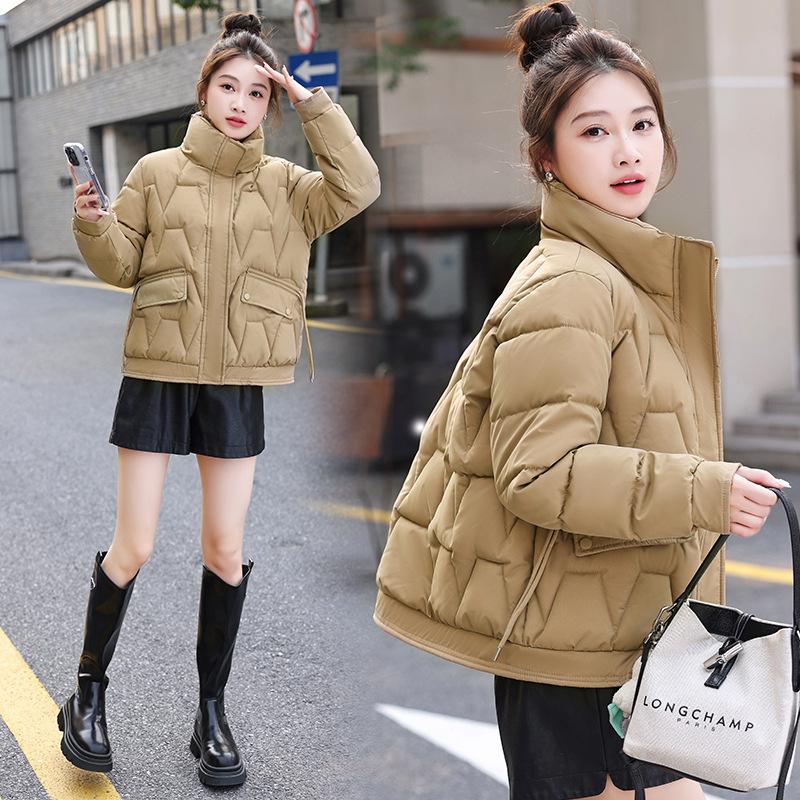 Small short cotton-padded women's winter warm stand-up collar loose belly covering thin down cotton-padded women's cotton-padded jacket tide