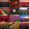 Diamond Painting Tulips Diamond Mosaic Craft Diamond Embroidery Painting