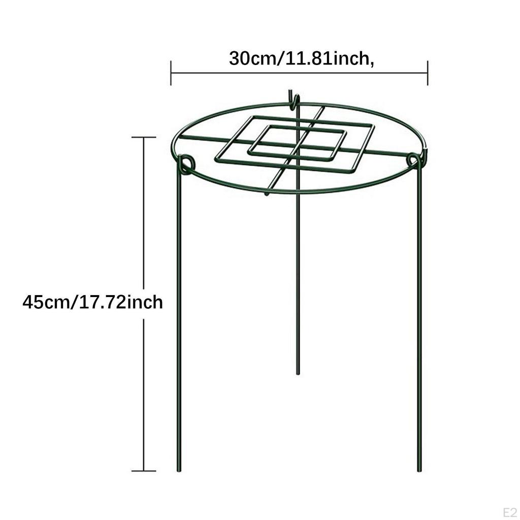 3 шт. Клетки и опоры для пионов, защитные решетки для вьющихся растений, опоры для садовых растений для помещений