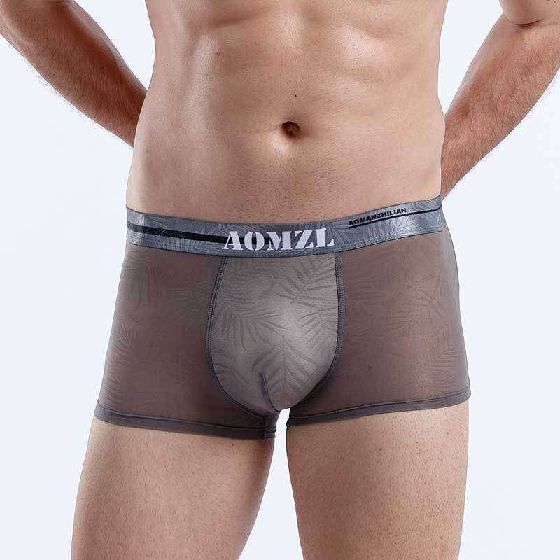 Новые мужские сексуальные трусы-боксеры из ледяного шелка в сетку, дышащие шорты-боксеры, модное нижнее белье