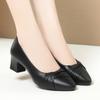 Women Spring 2025 New Fashion Mother's Office Soft Leather Soft Soled Shoes Comfort High Heel Dress Singles Shoes