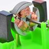 Green Physics Experiment Aids ABS+Metal Educational Students Toys DC Electrical Motor Model  School