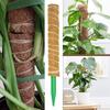 Detachable Moss Pole Plants Climbing Support Extension  Vines Stick Plants Creepers To  Upwards Gardening Tools