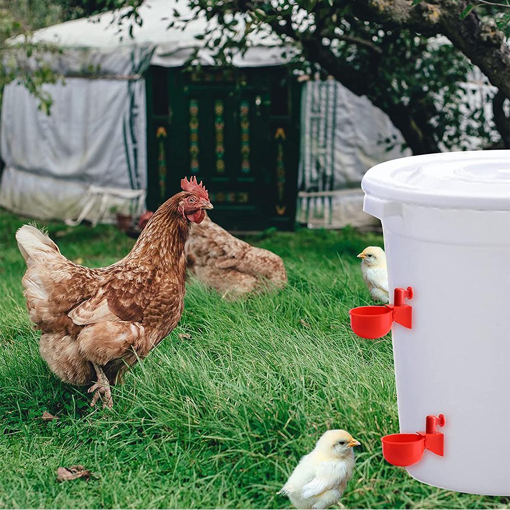 6 x Красные пластиковые автоматические поилки для птиц, кур, домашней птицы, курятника 10,5x4 см