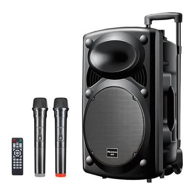 NEWMINE B12 12-дюймовая Bluetooth-колонка на колесиках с двумя микрофонами, штекер CN (адаптер в комплекте)