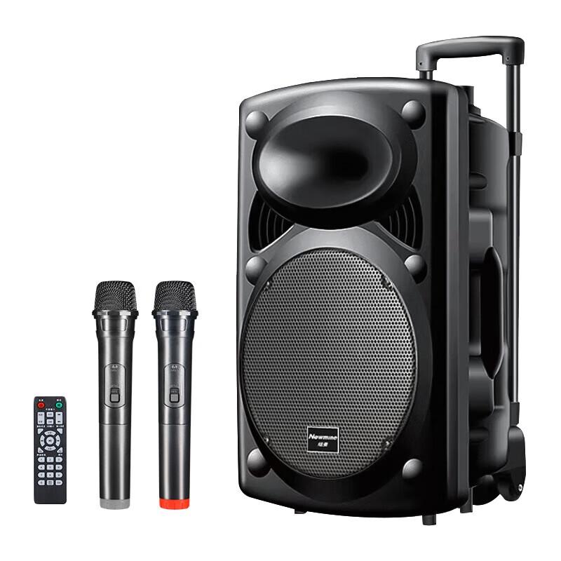 NEWMINE B12 12-дюймовая Bluetooth-колонка на колесиках с двумя микрофонами, штекер CN (адаптер в комплекте) (Китайская версия)