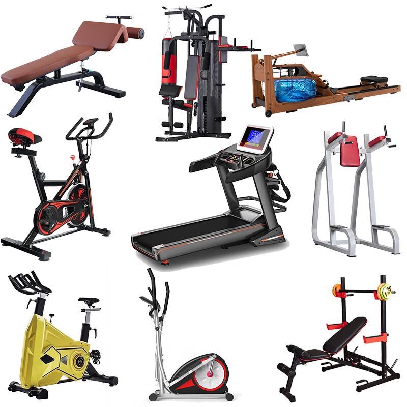 Ganas Bicep Curl & Dumbbell Training Bench